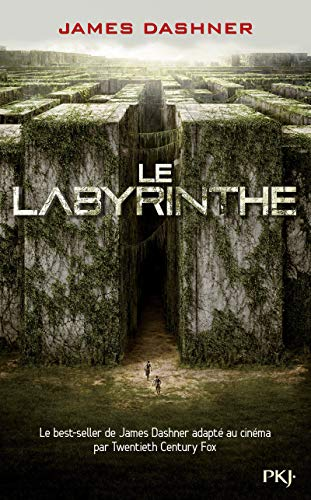 Le labyrinthe : l'épreuve. Se souvenir, survivre, s'enfuir... Livre 1
